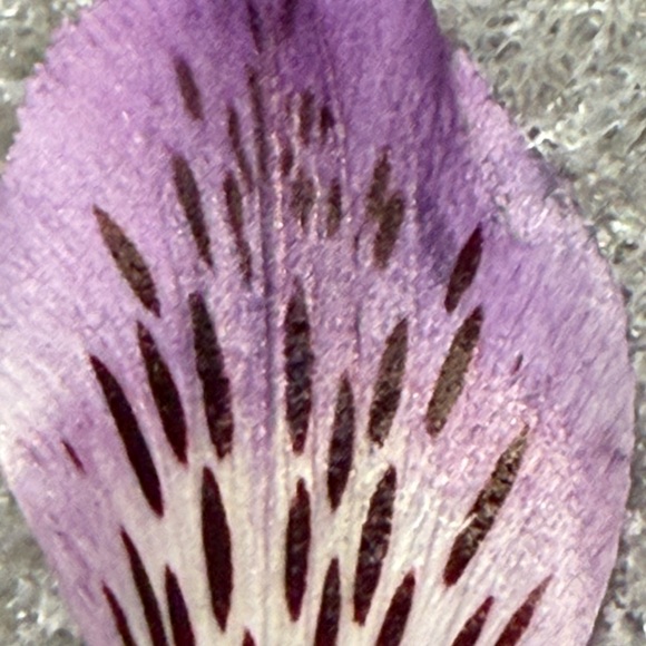 Sale - Picture 2 of 2